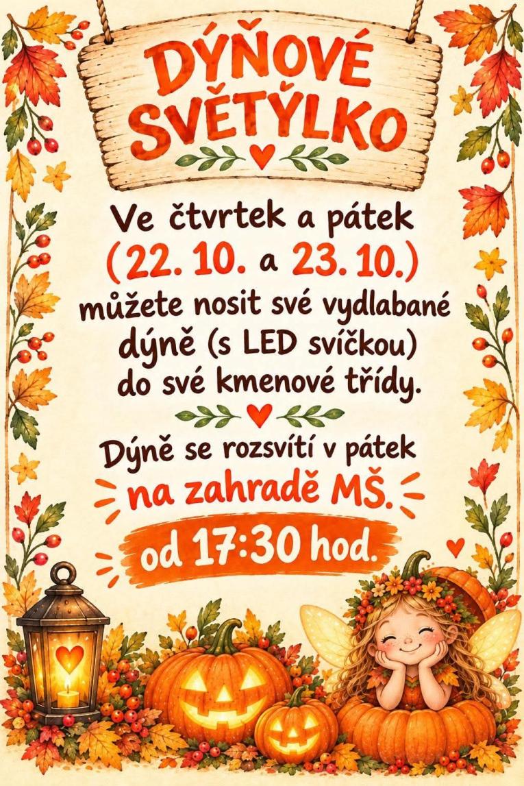 svět