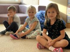 Kuřátka sklízejí zeleninu na poli.