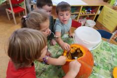 Sluníčka- "Bude zima, bude mráz,kam se ptáčku, kam schováš?"