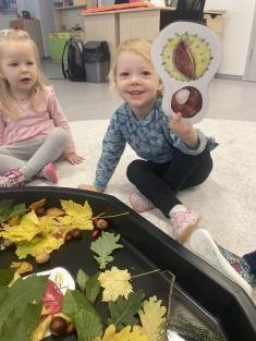 Rozfoukaný týden u Berušek