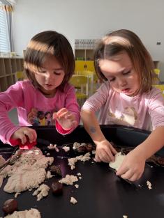 Čmeláčci poznávají les 