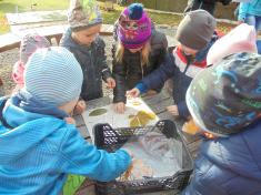 Den stromů - Motýlci