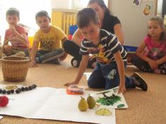 Sklízíme ovoce u Hvězdiček 