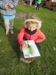 Den stromů aneb koulelo se, koulelo -  Motýlci