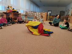 Zvířata a ptáci v zimě - Koťátka